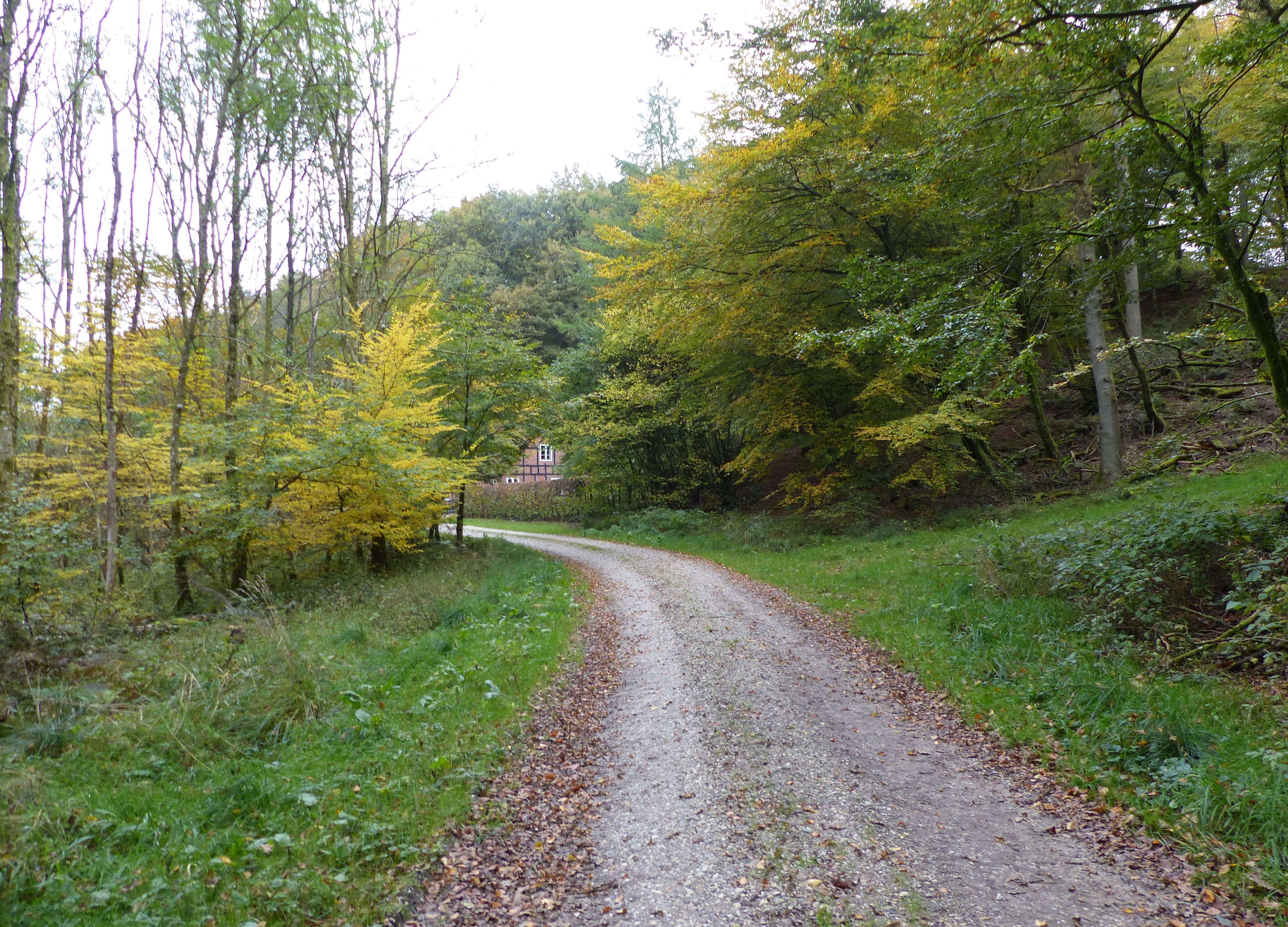 Skovløberhuset lige om hjørnet i Fussingø Skov