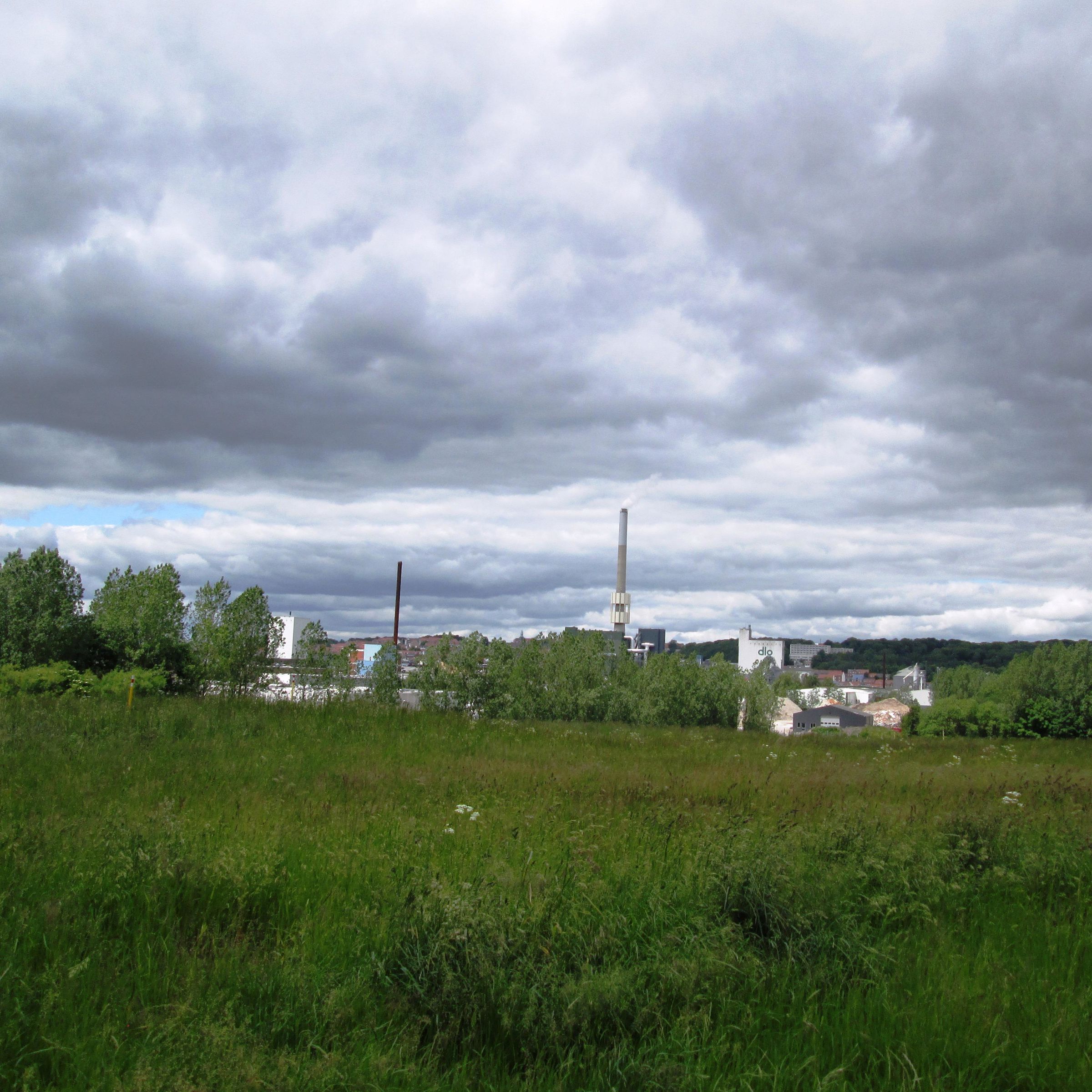 Udsigt fra Skovholmen
