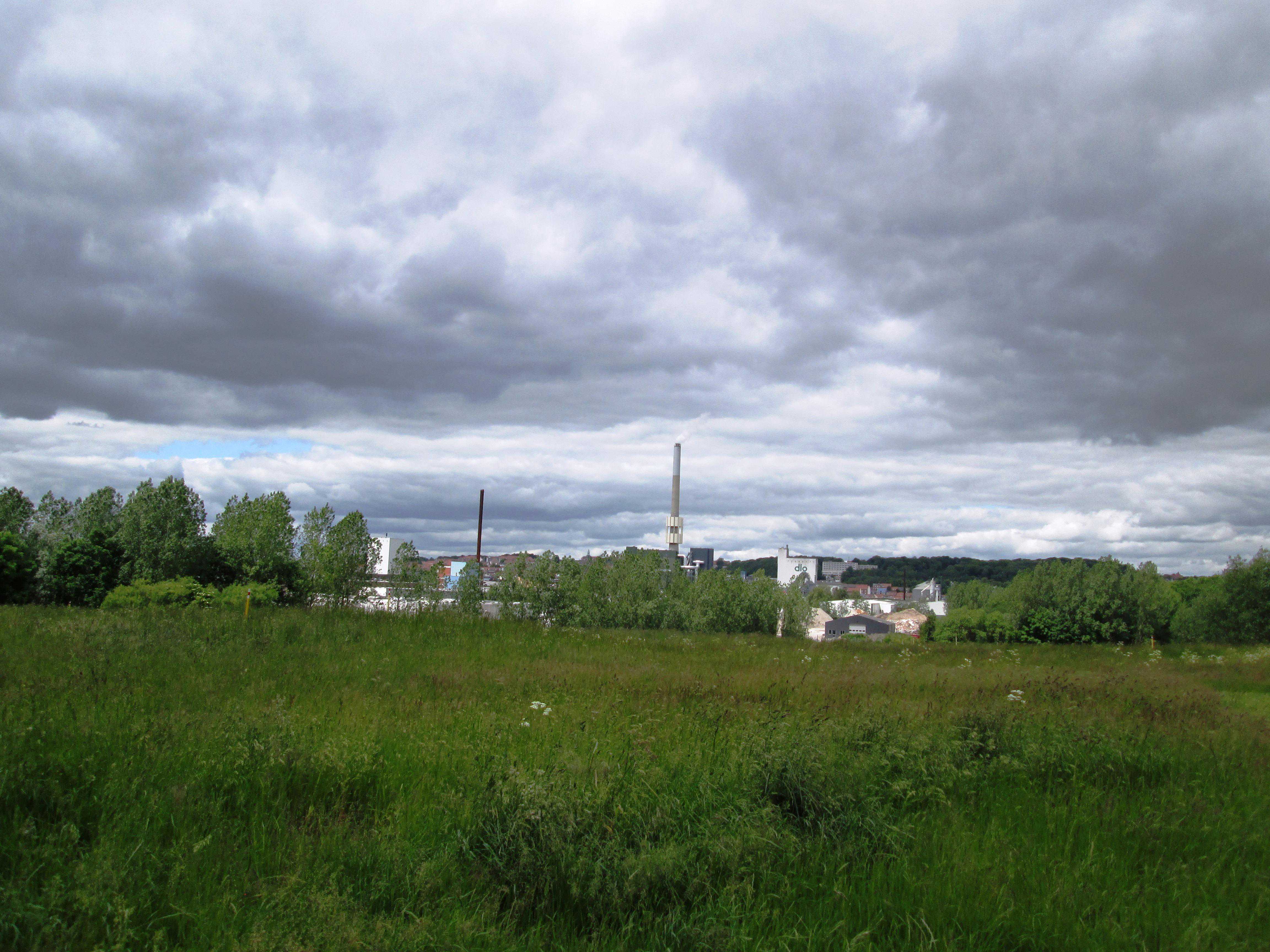 Udsigt fra Skovholmen