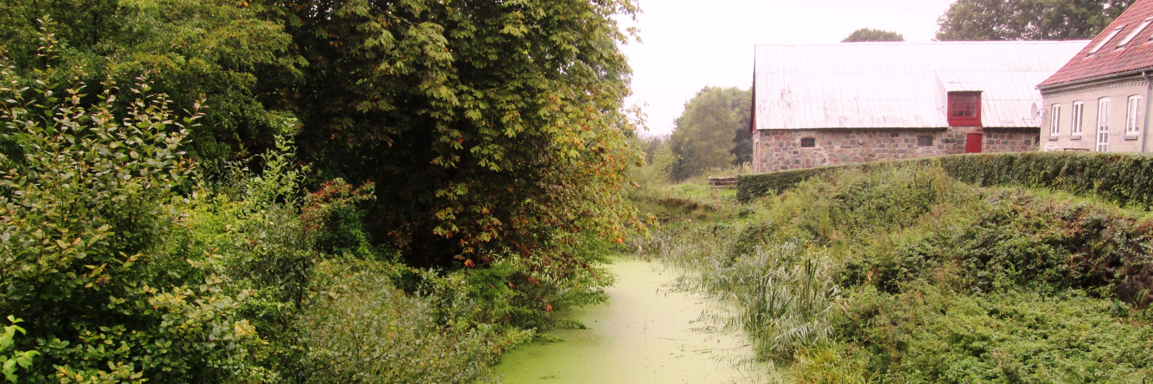 Voldgraven ved Brusgård