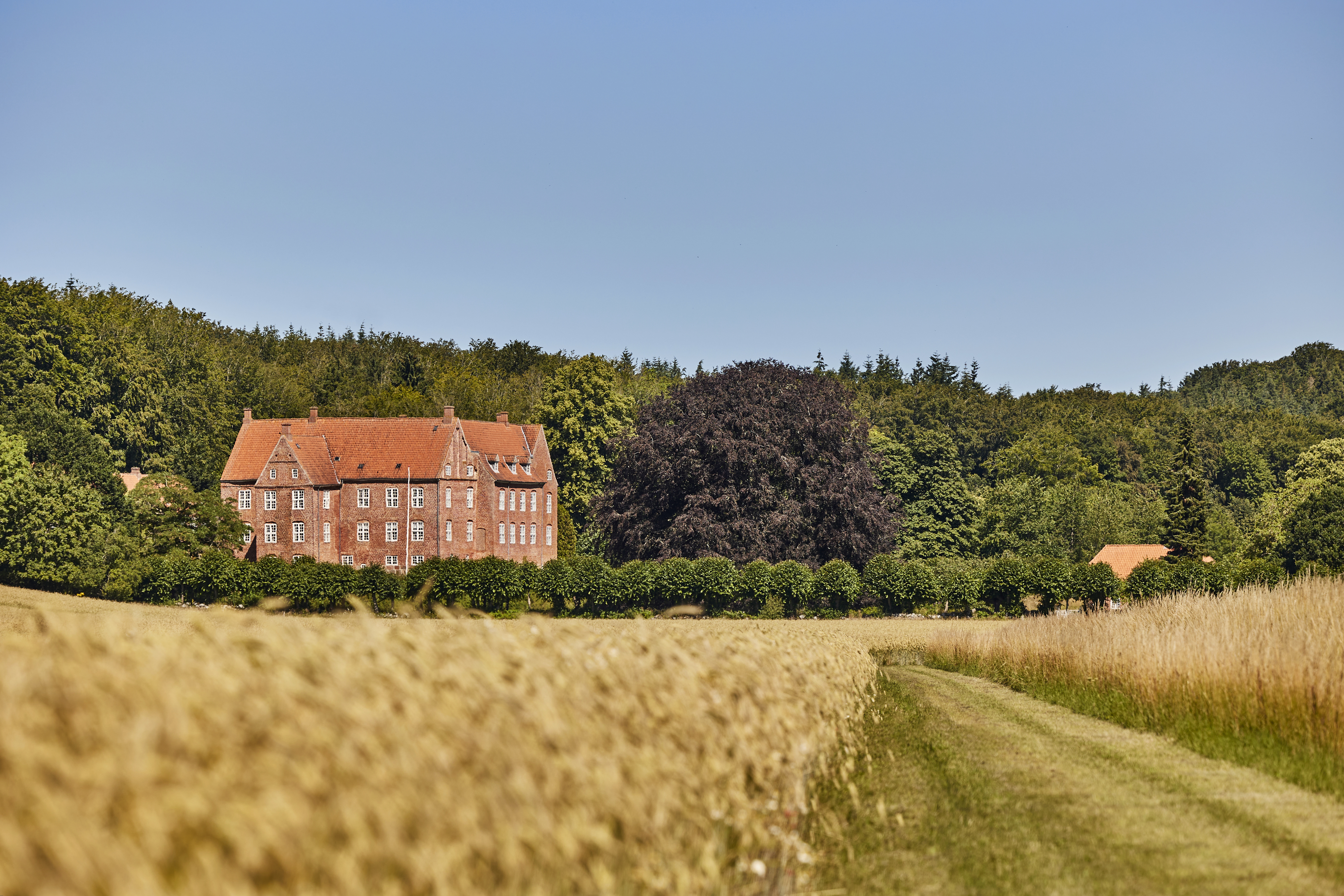 Dødislandskabet ved Støvring