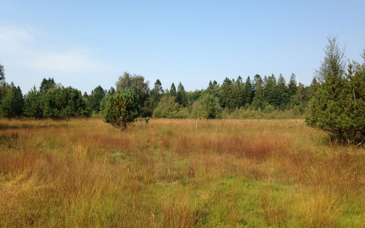 Blichers Plantage