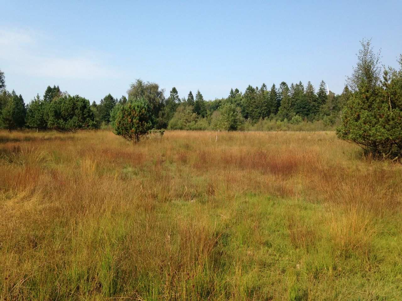 Blichers Plantage