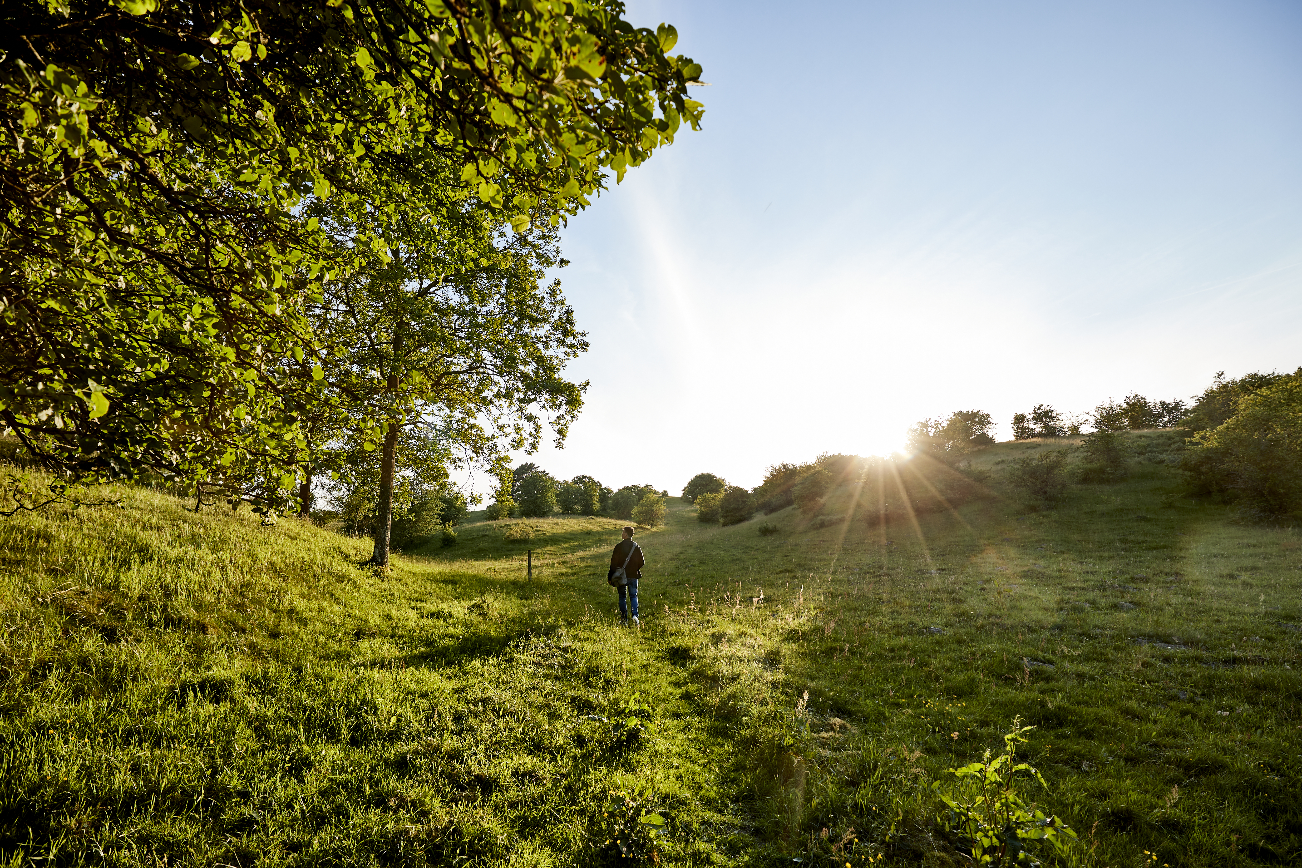 Person på travetur i Læsten Bakker