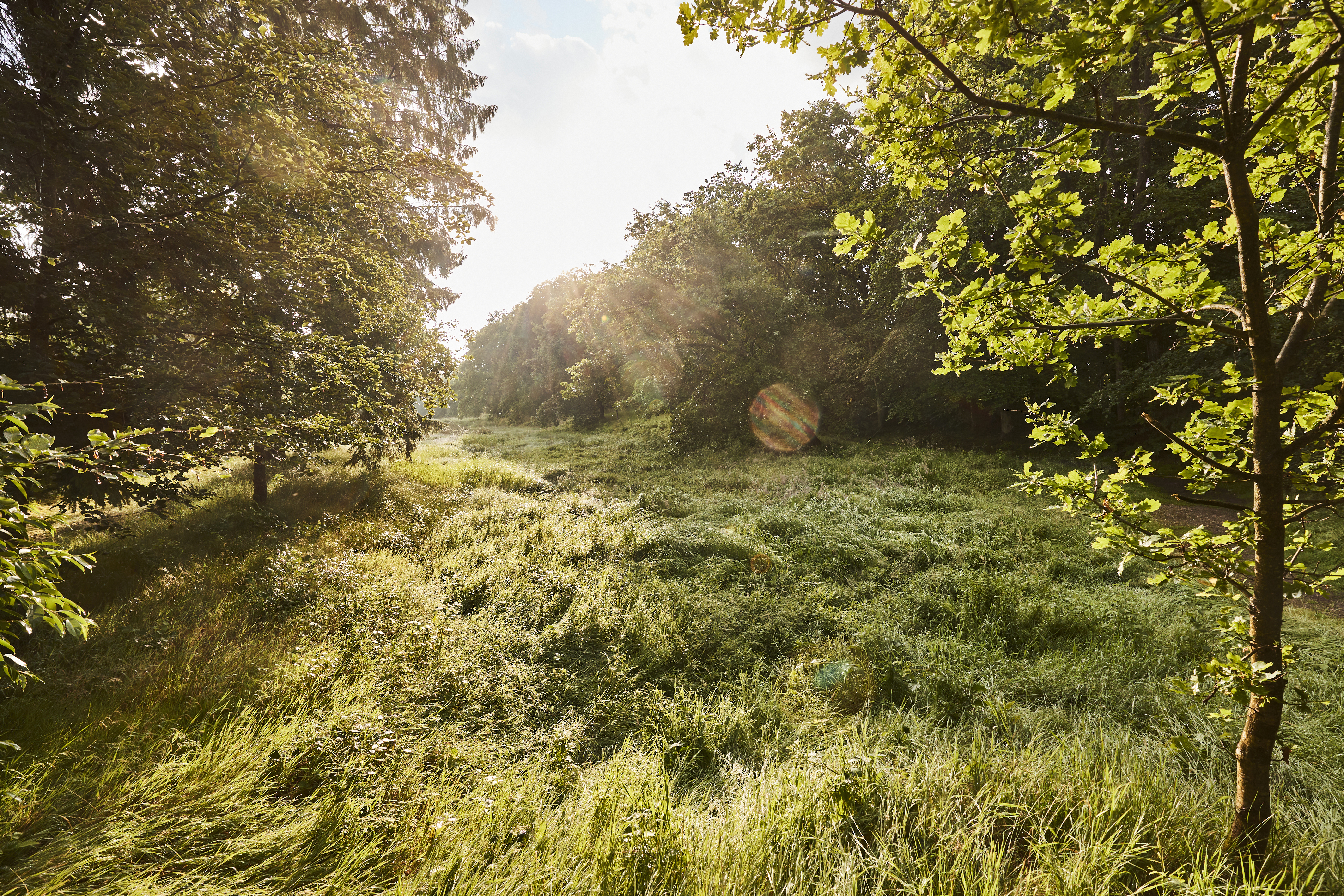 Christian III's Kanal