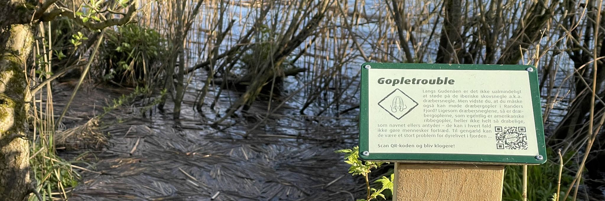 Ungdommens Gudenå
