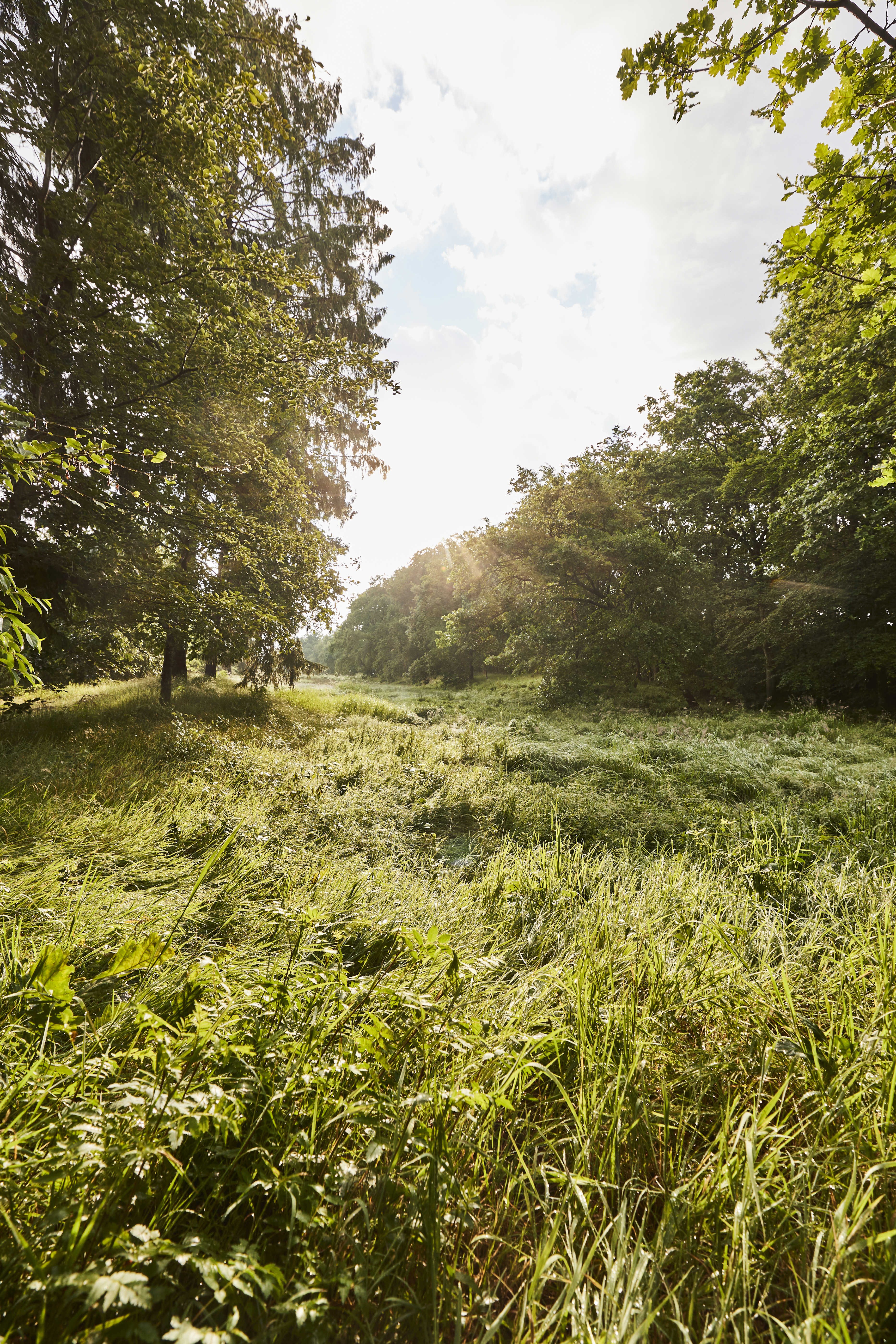 Christian III's Kanal