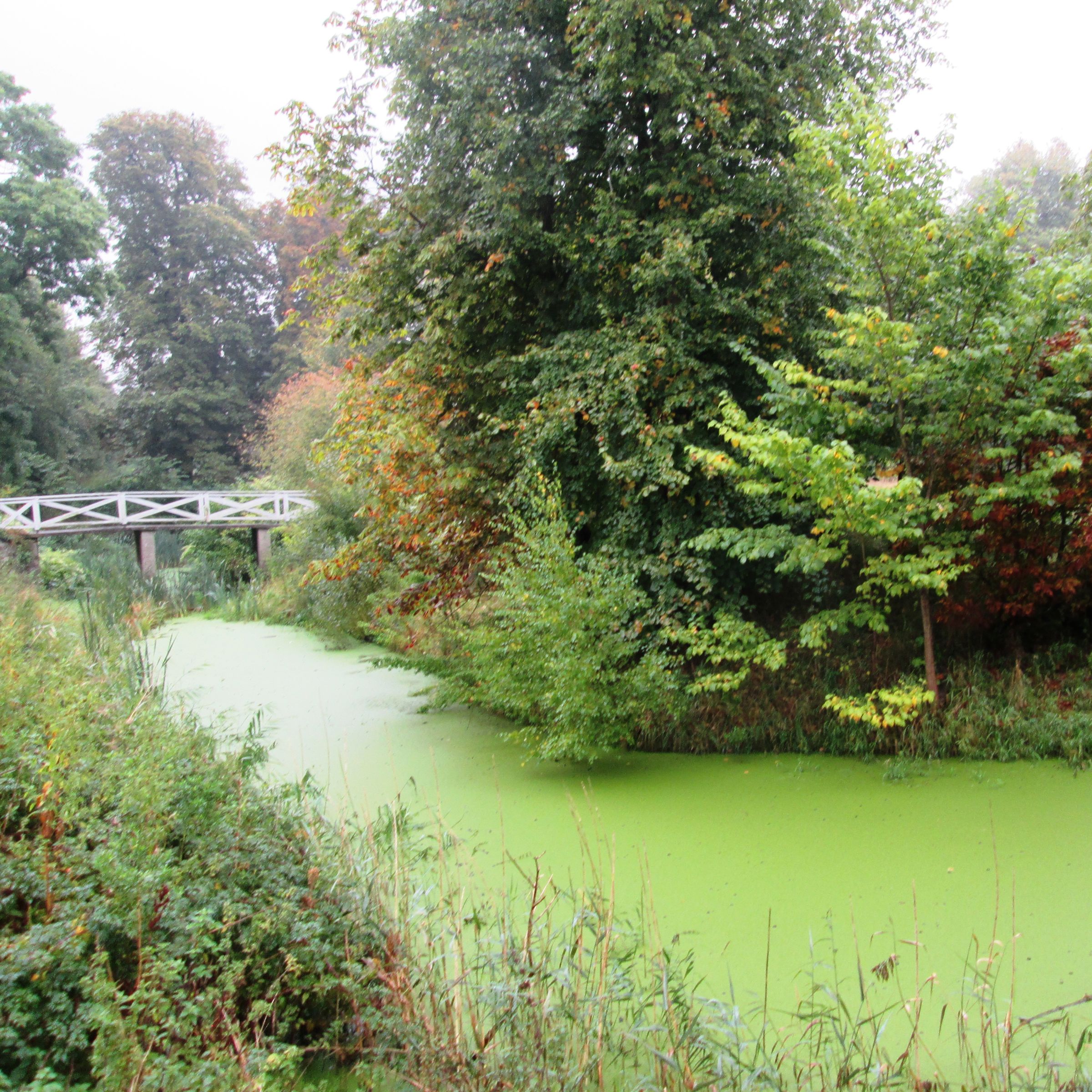 Voldgraven ved Brusgård