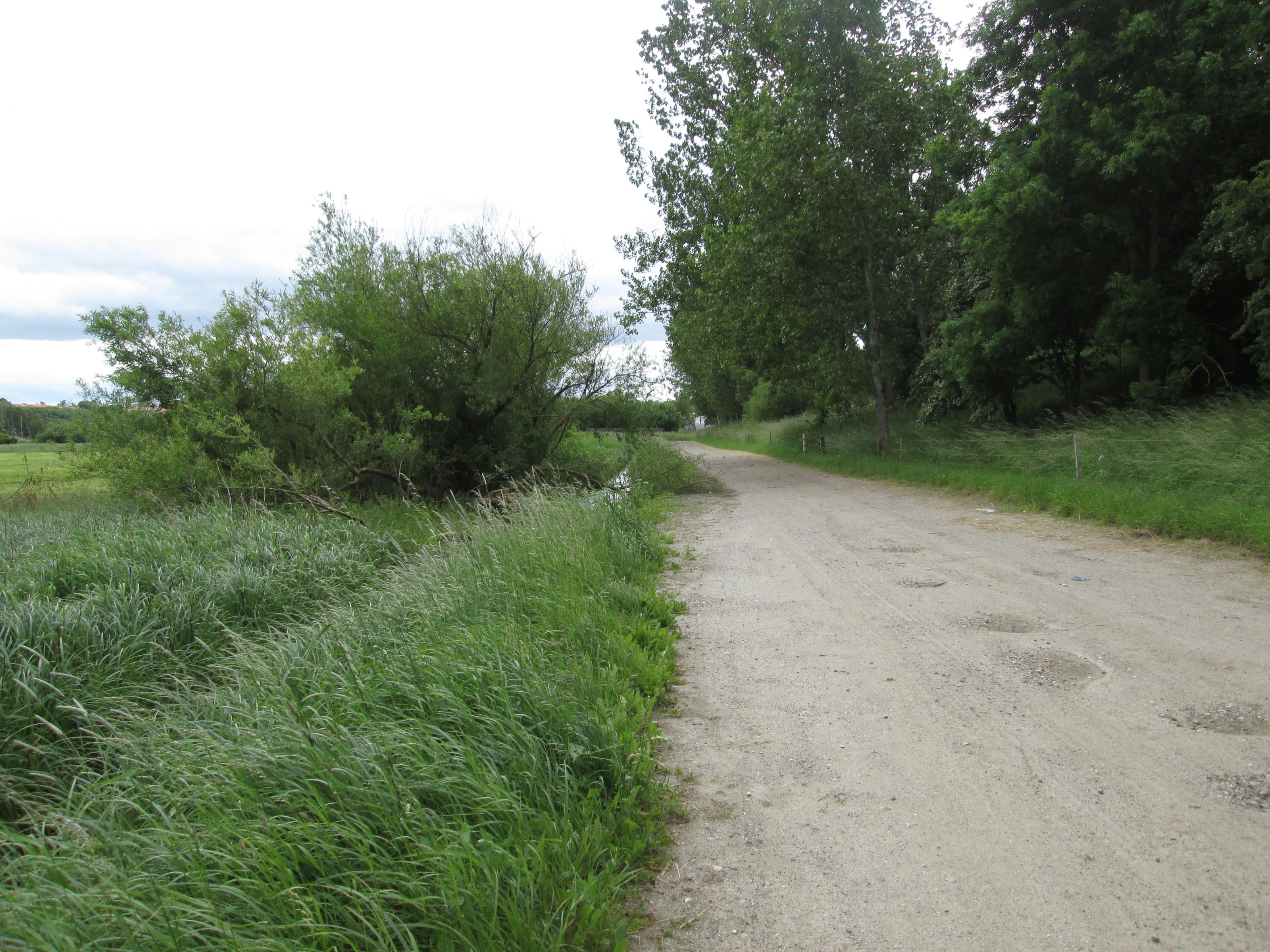 Skovholmen