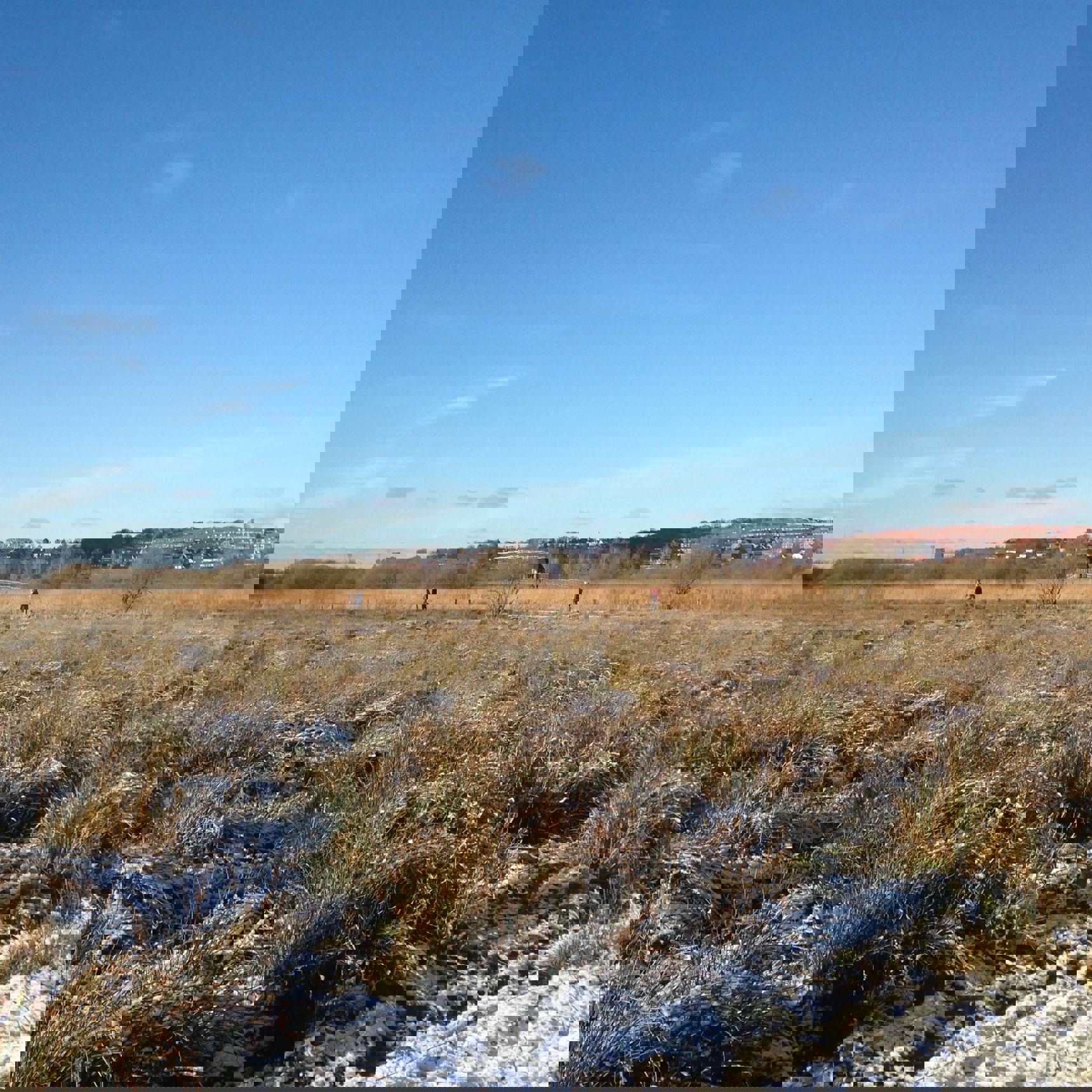 Vorup Enge om vinteren