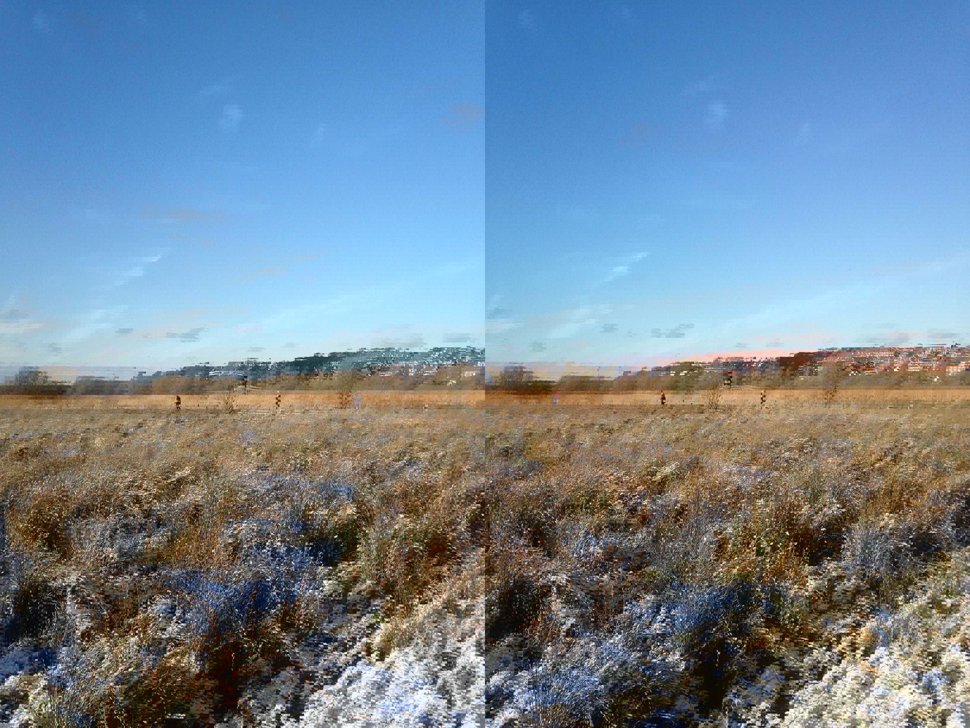 Vorup Enge om vinteren