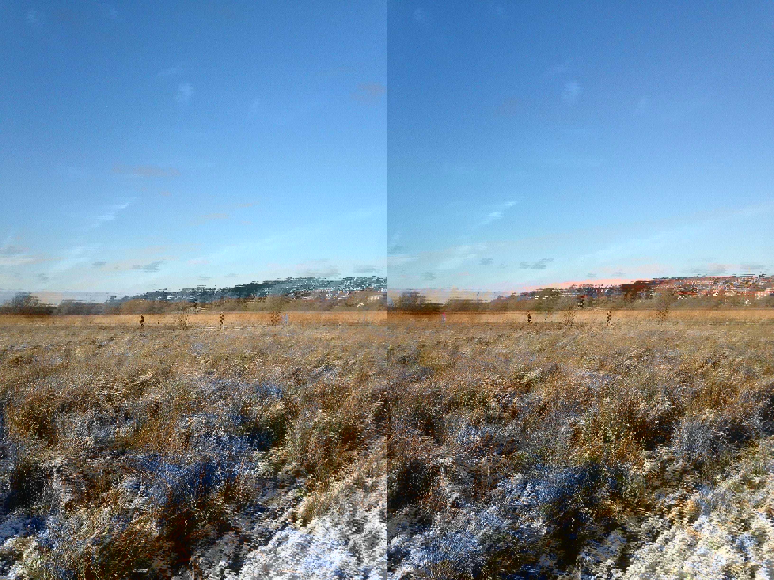 Vorup Enge om vinteren