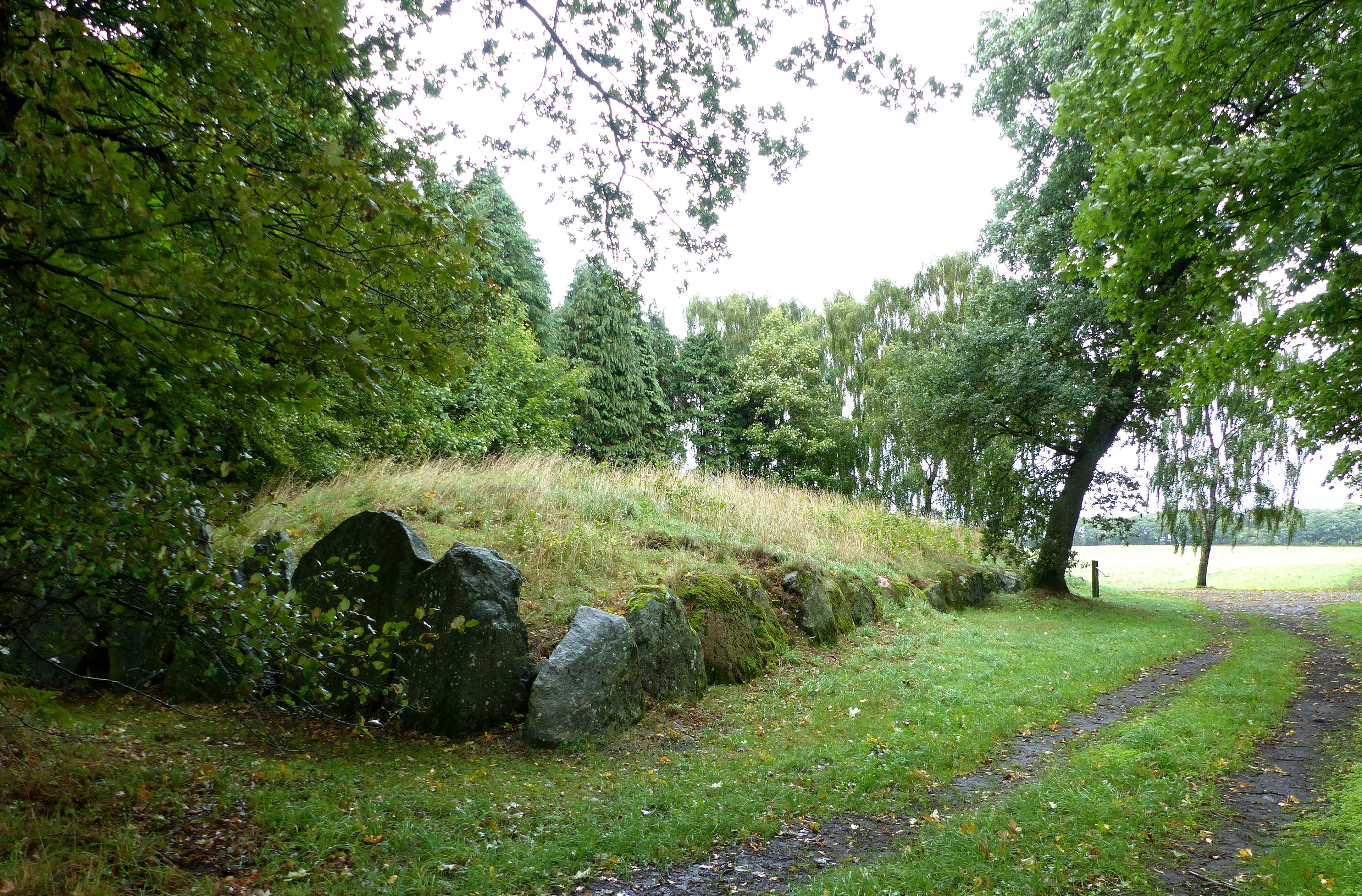 Kongehøjen