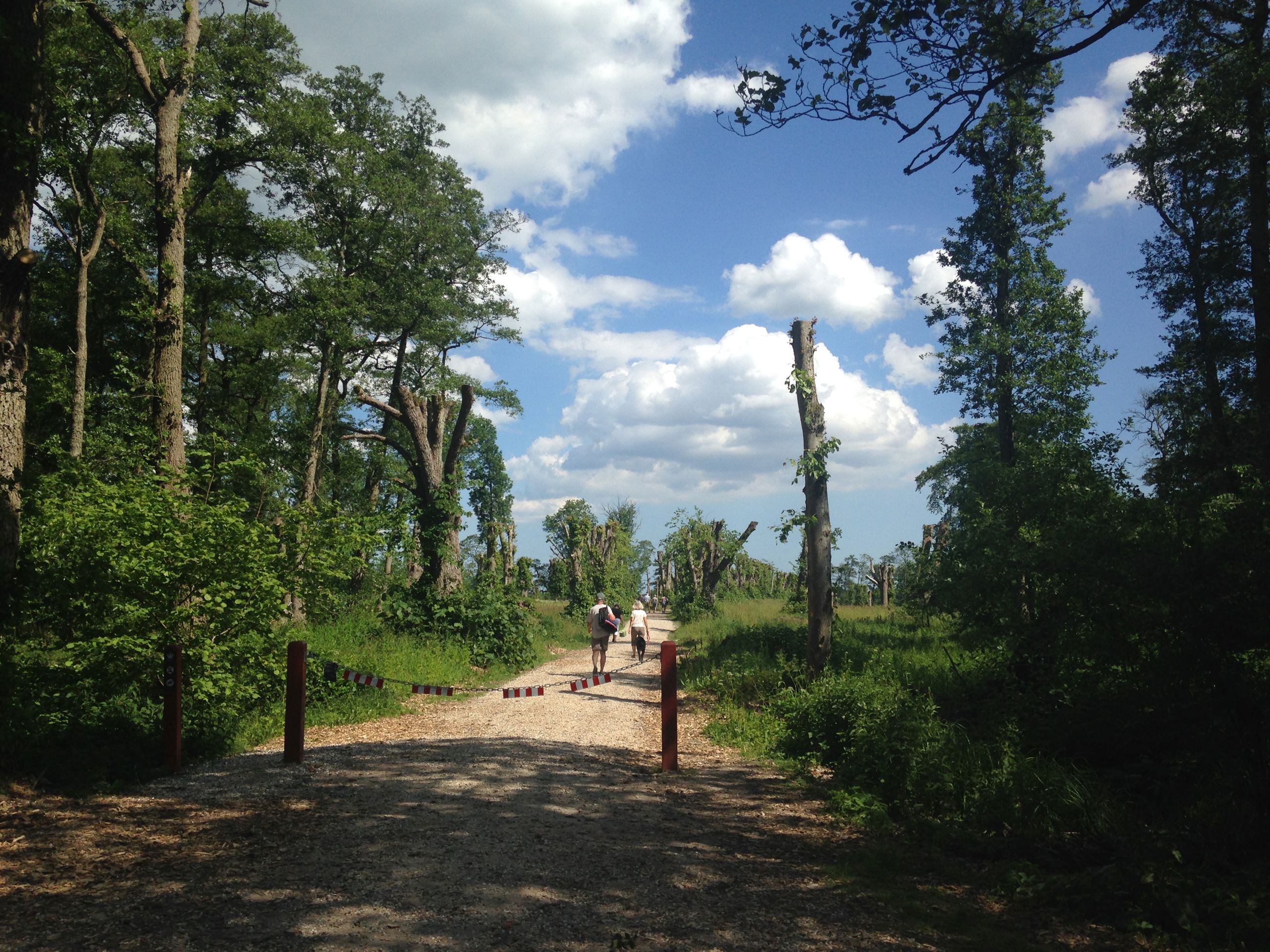 Gammelhave ved Fussingø