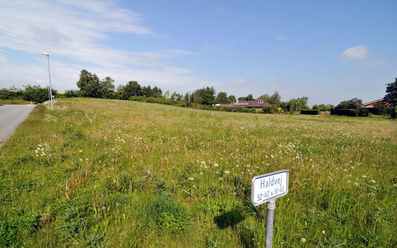 Haldvej 37A i Hald