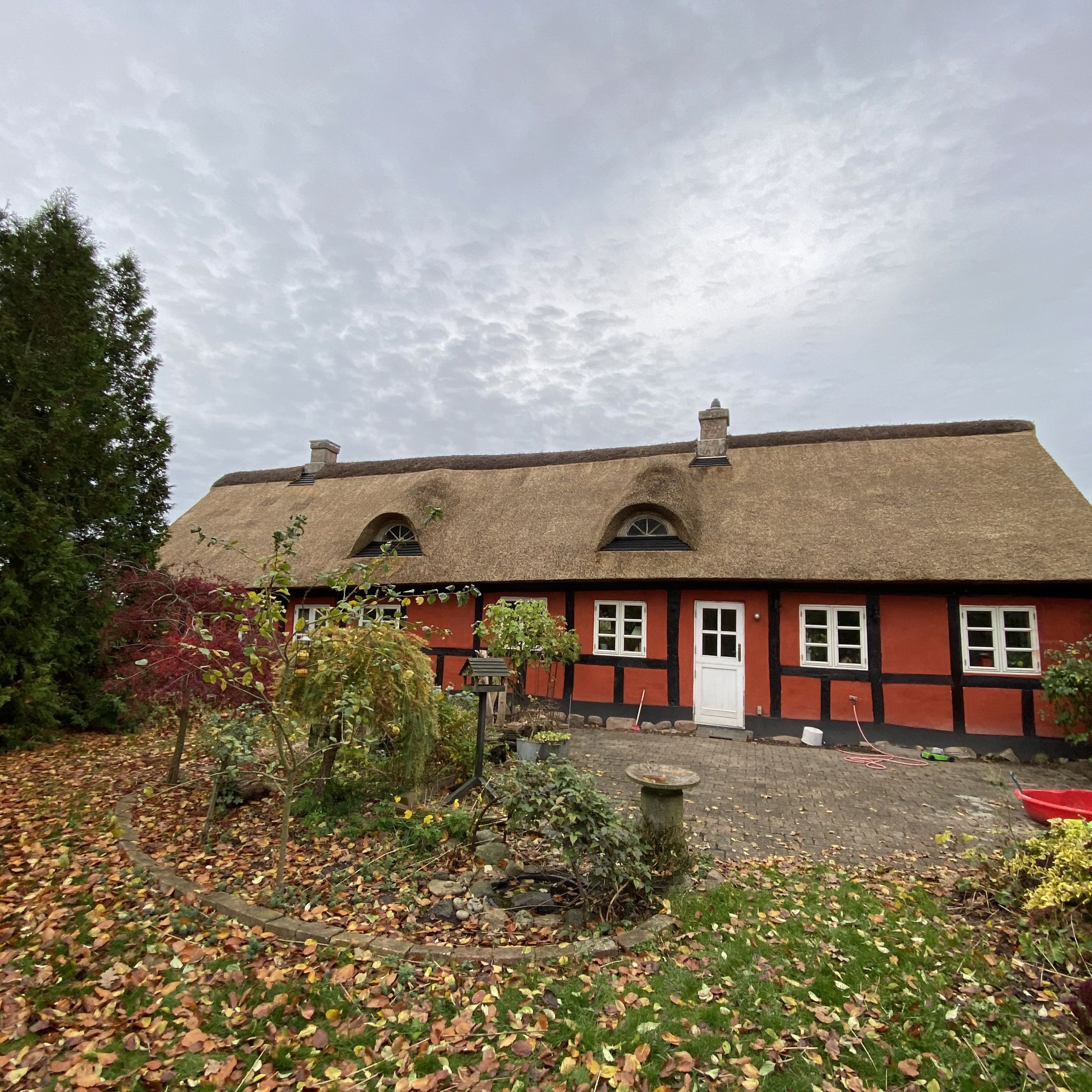 Lemvej 56