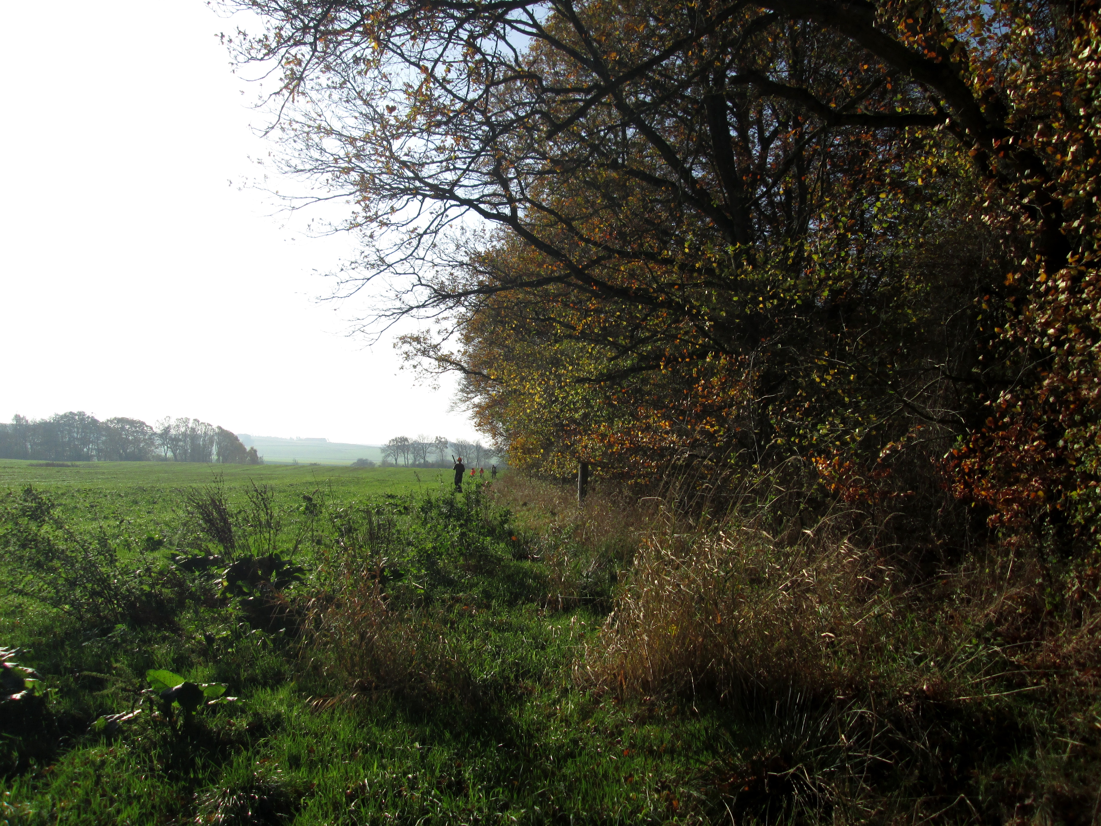 Området ved Brusgård