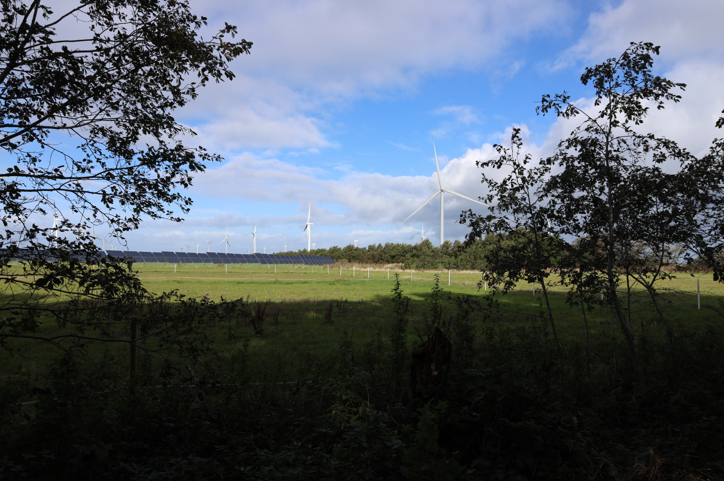 Visualisering Fra Under Bakken Af Det Ansoegte Solcelleanlaeg