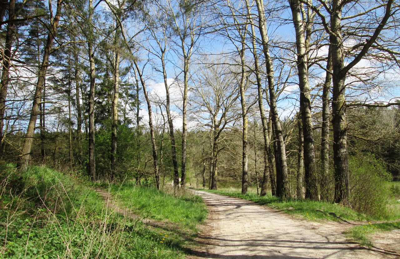 Natur ved Drastrup