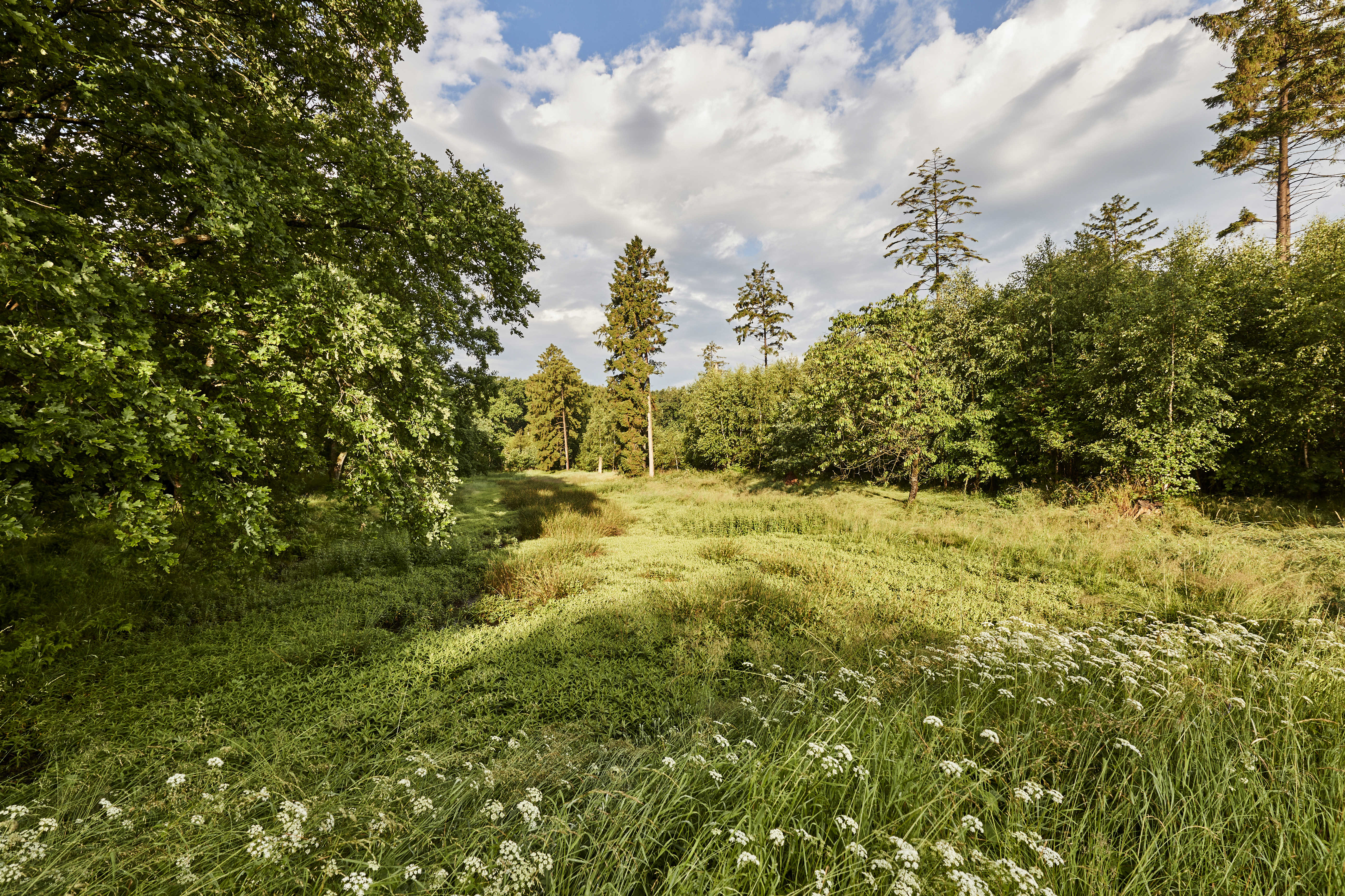 Christian III's Kanal