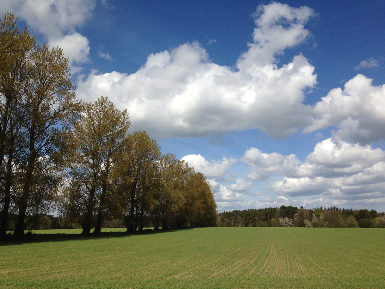 Naturområde