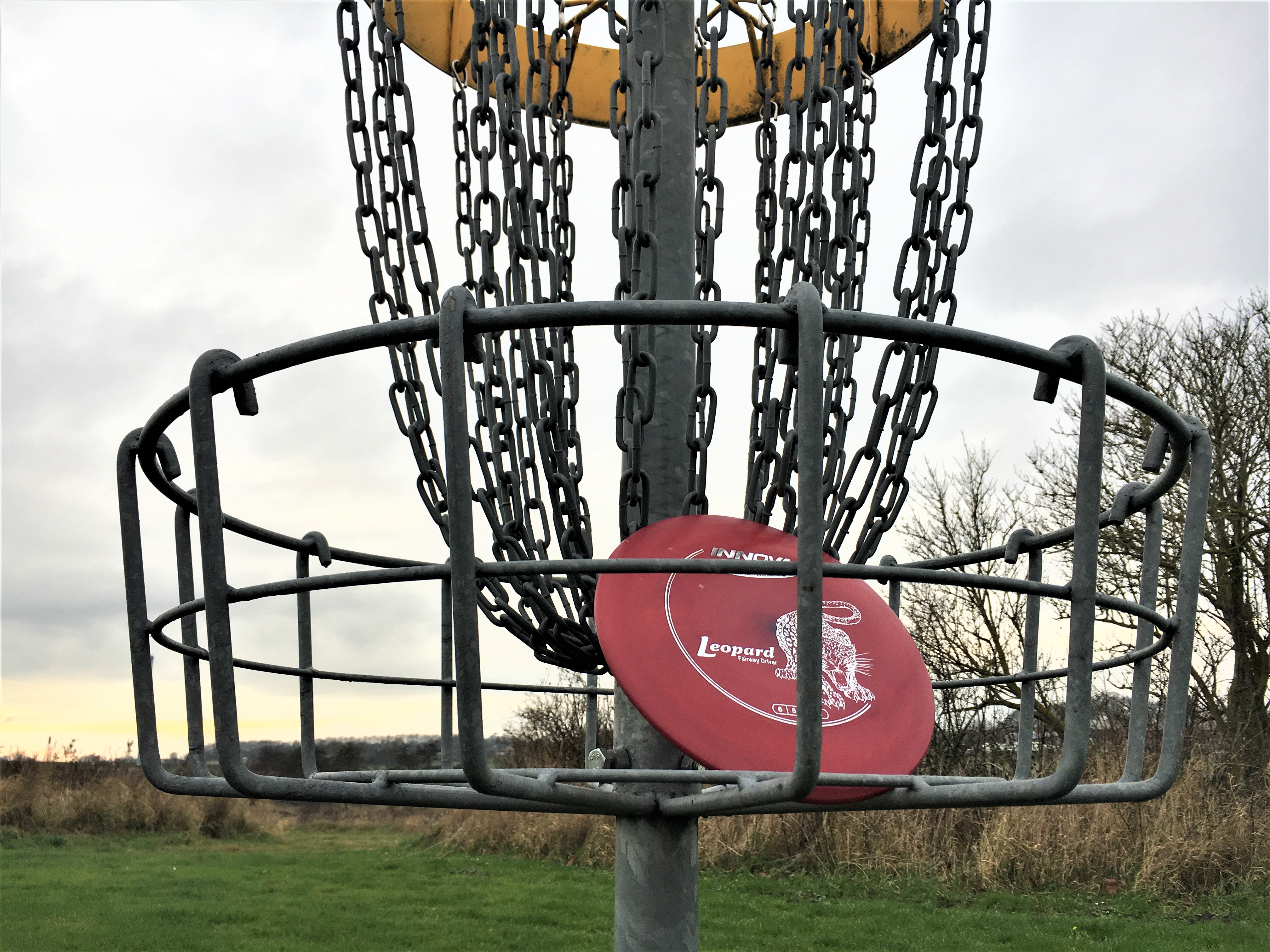 Discgolf