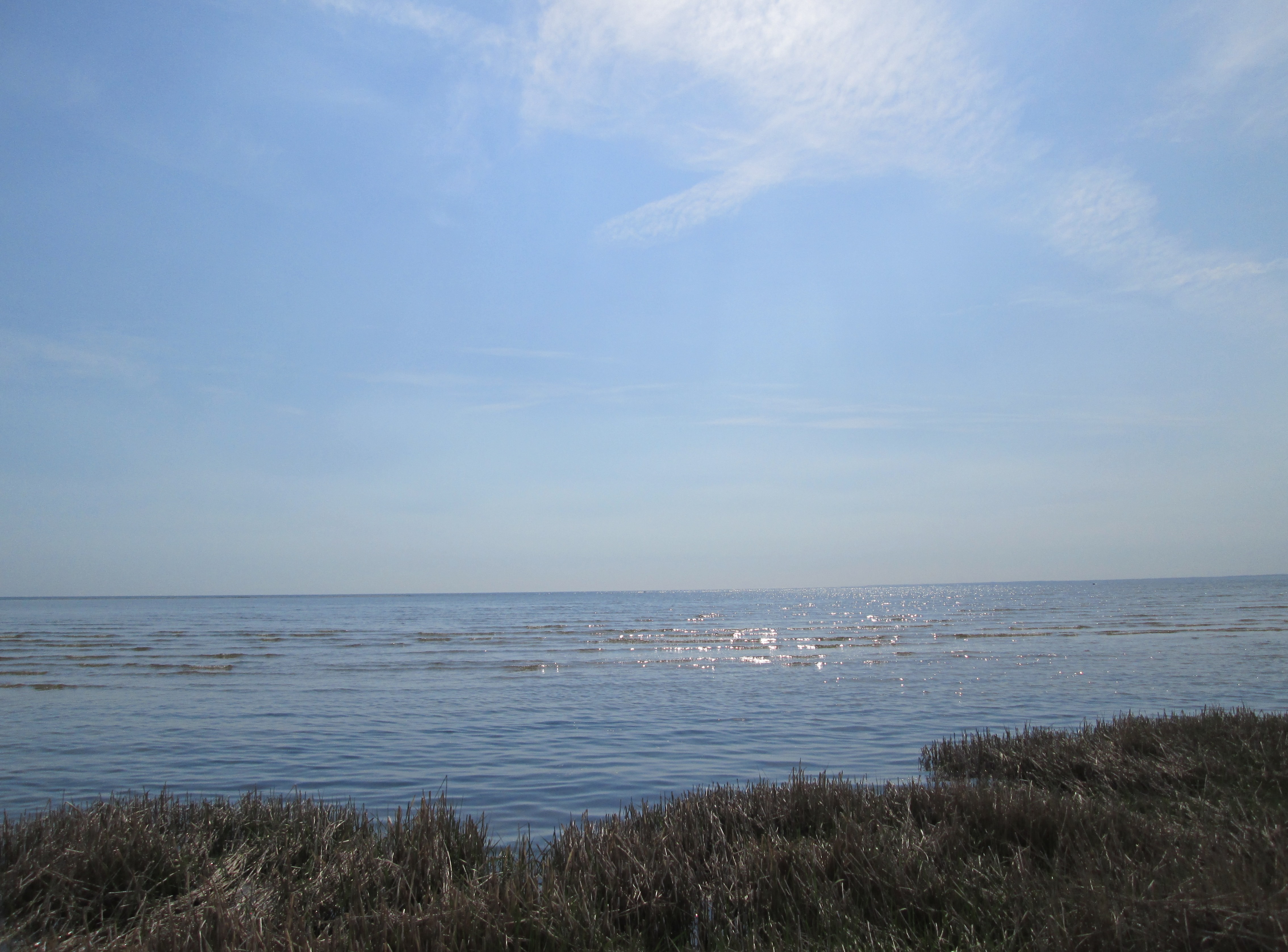 Strandengen og Kattegat