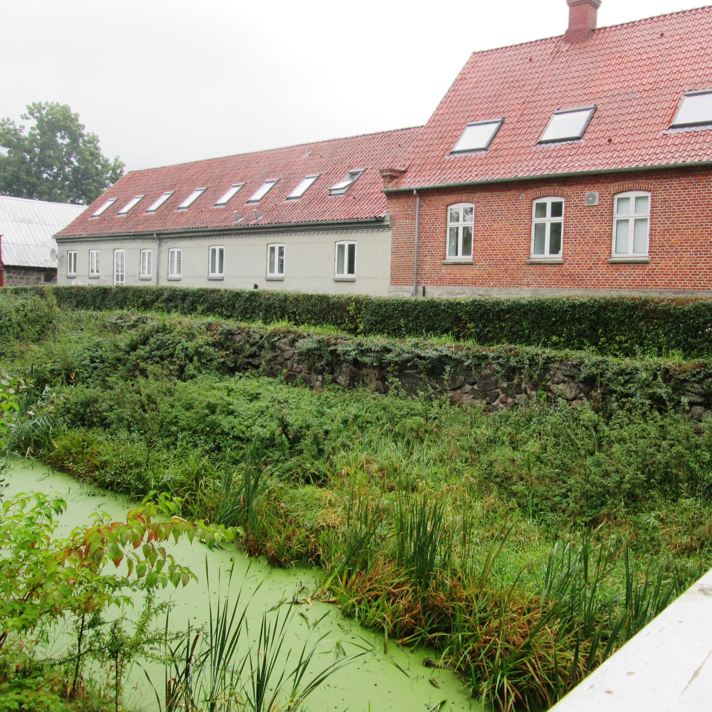 Brusgård