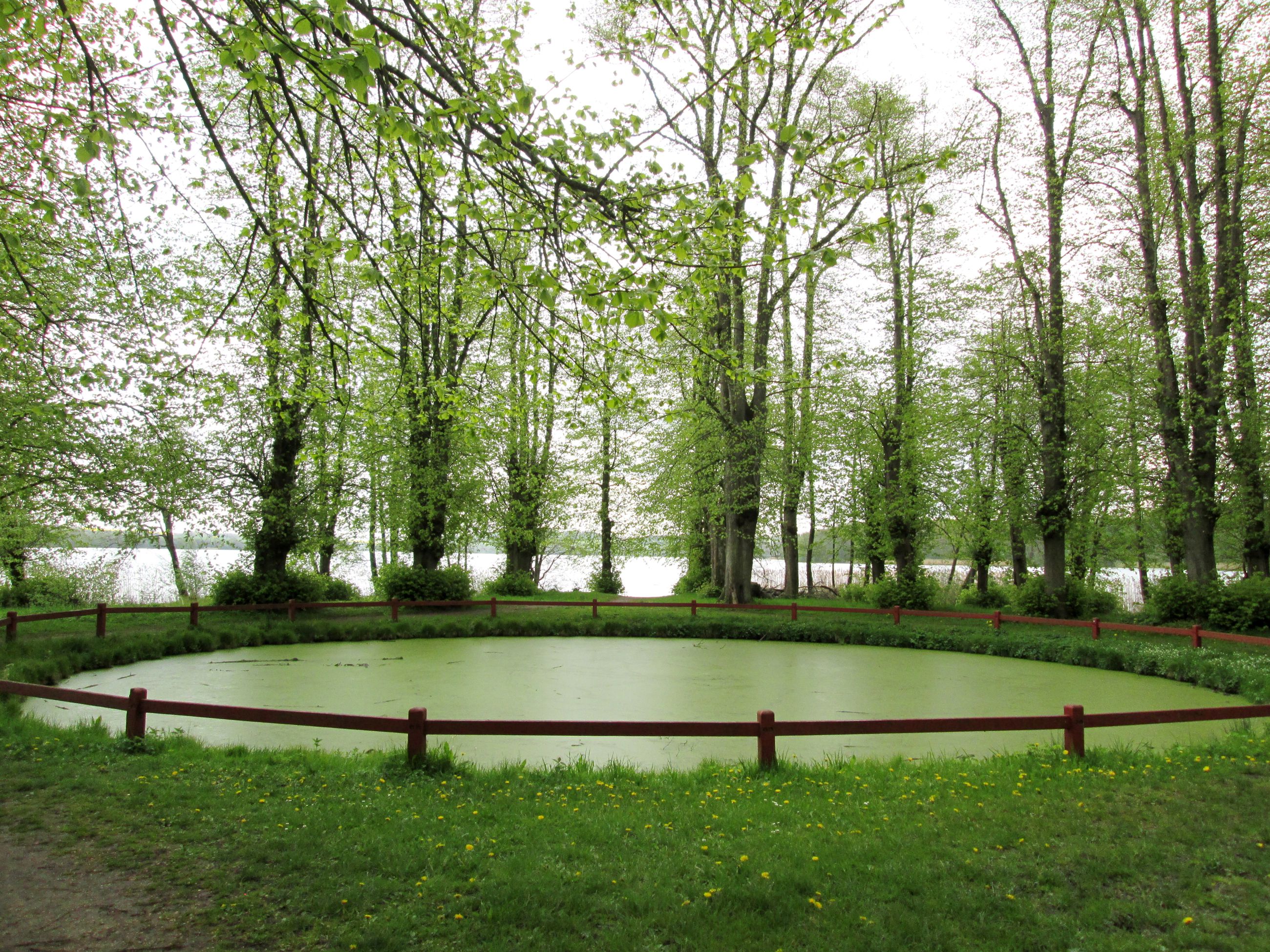 Fussing Sø og Gammelhave