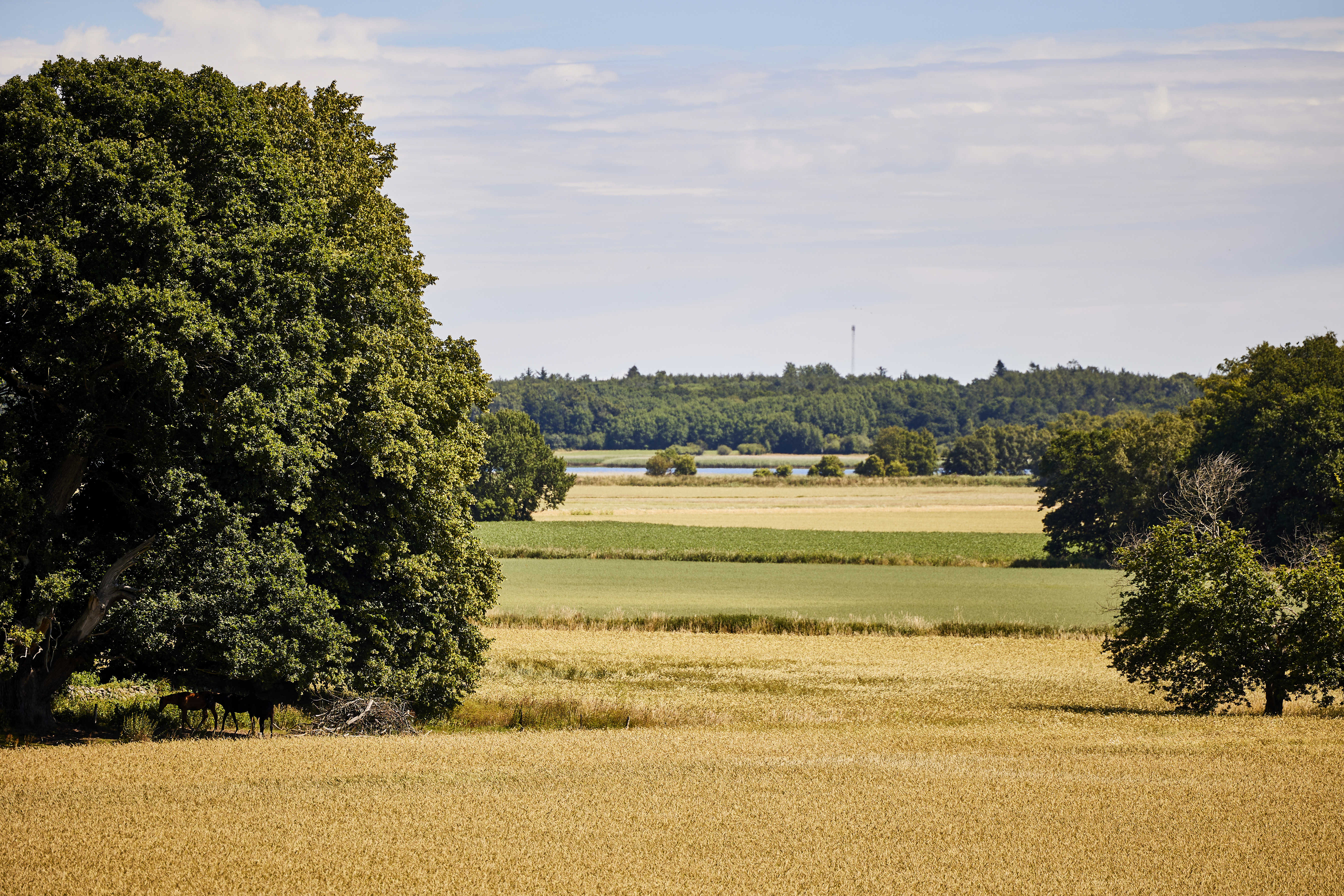 Dødislandskabet ved Støvring