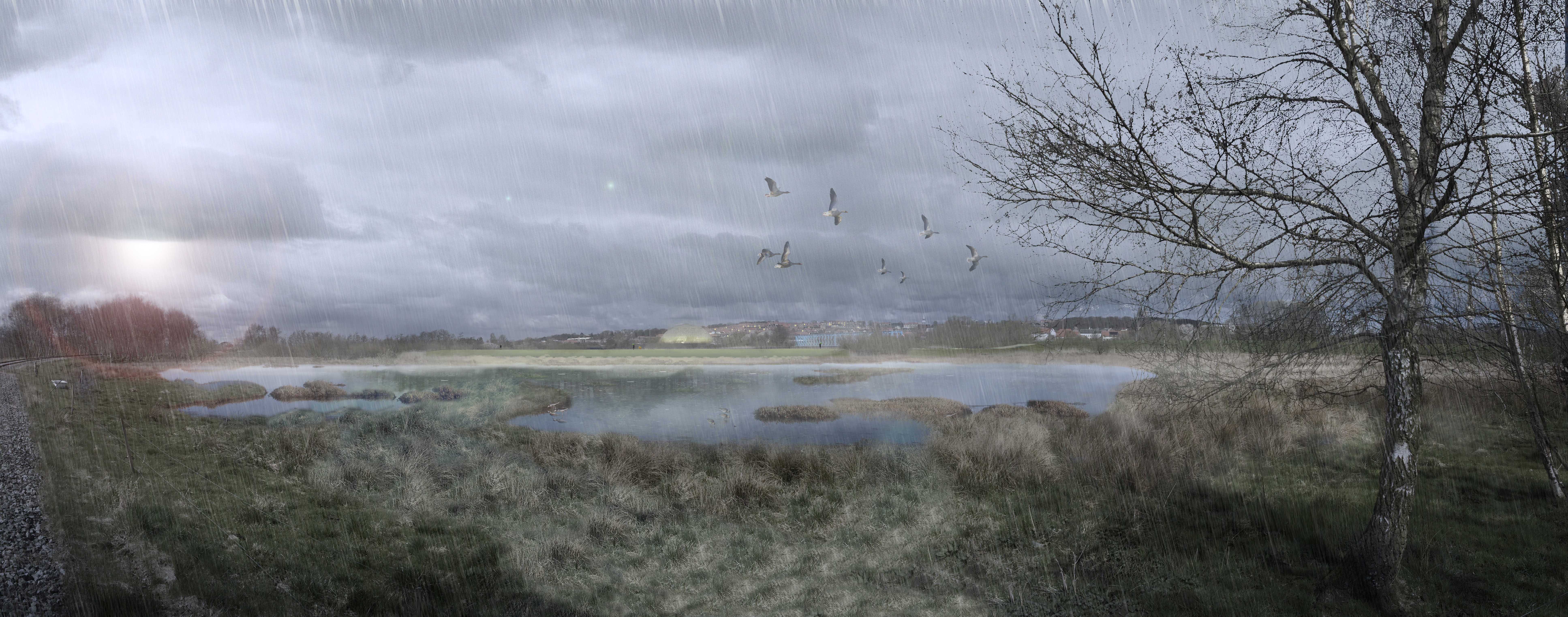 Illustration af storkeengen