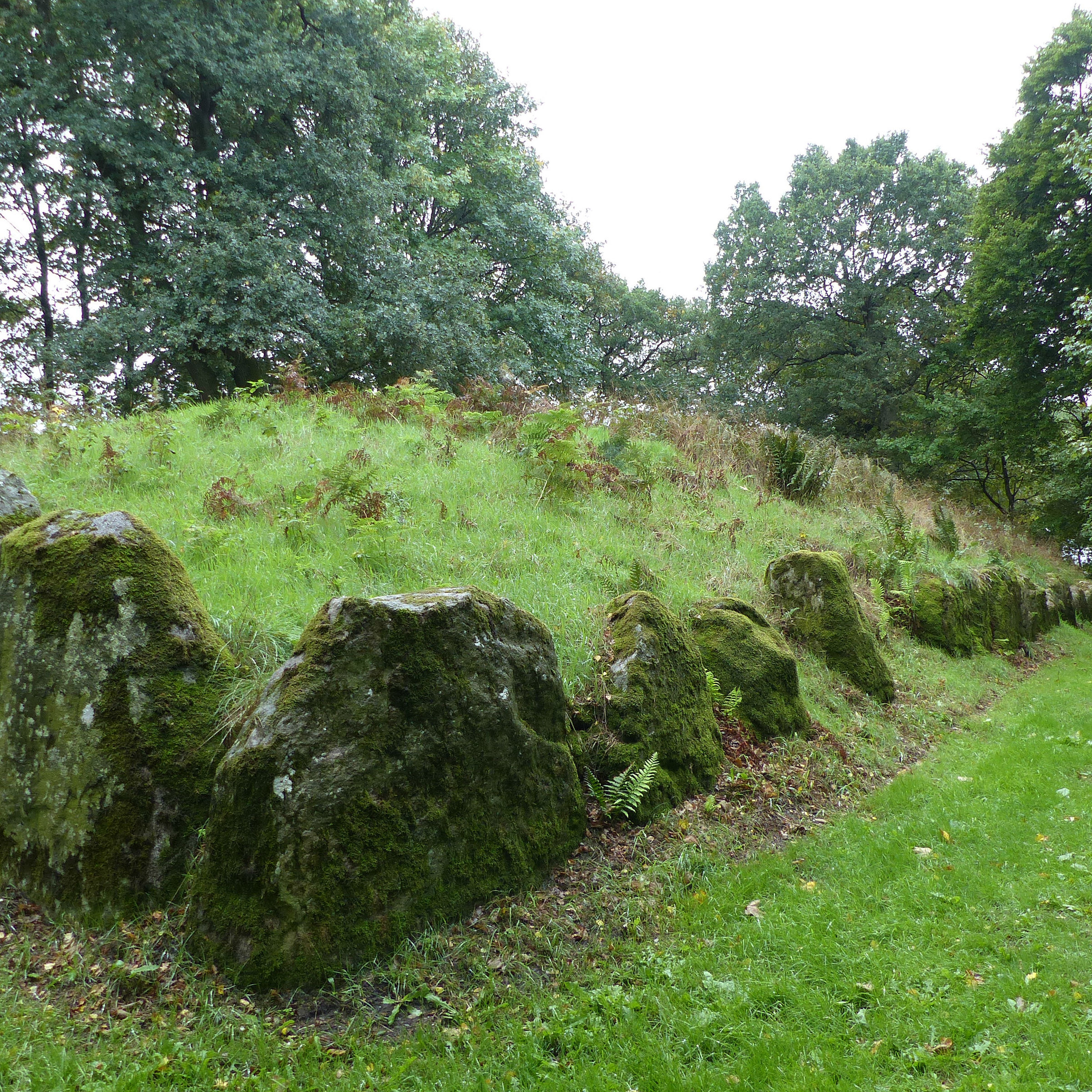 Kongehøjen