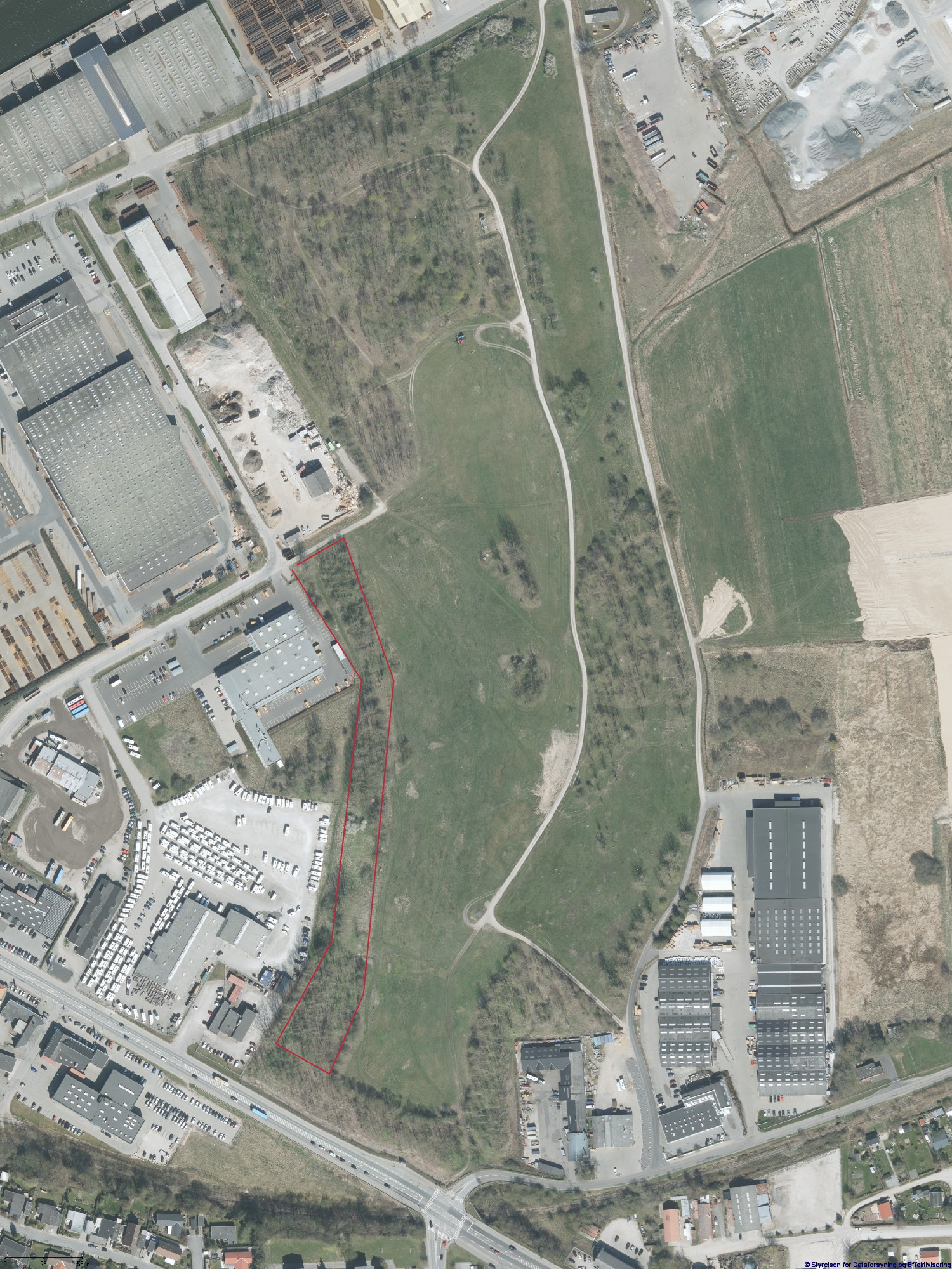 Skovholmen Hundeskov