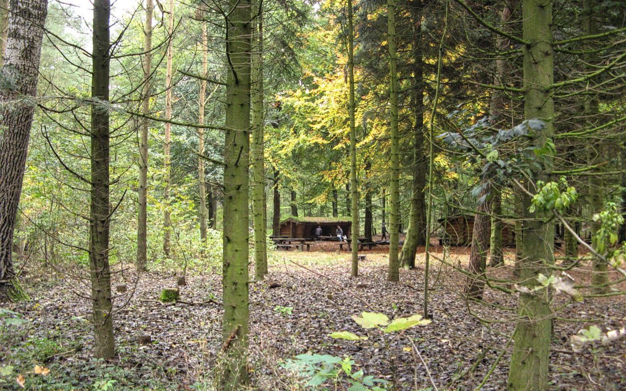 Shelters i Fladbro Skov