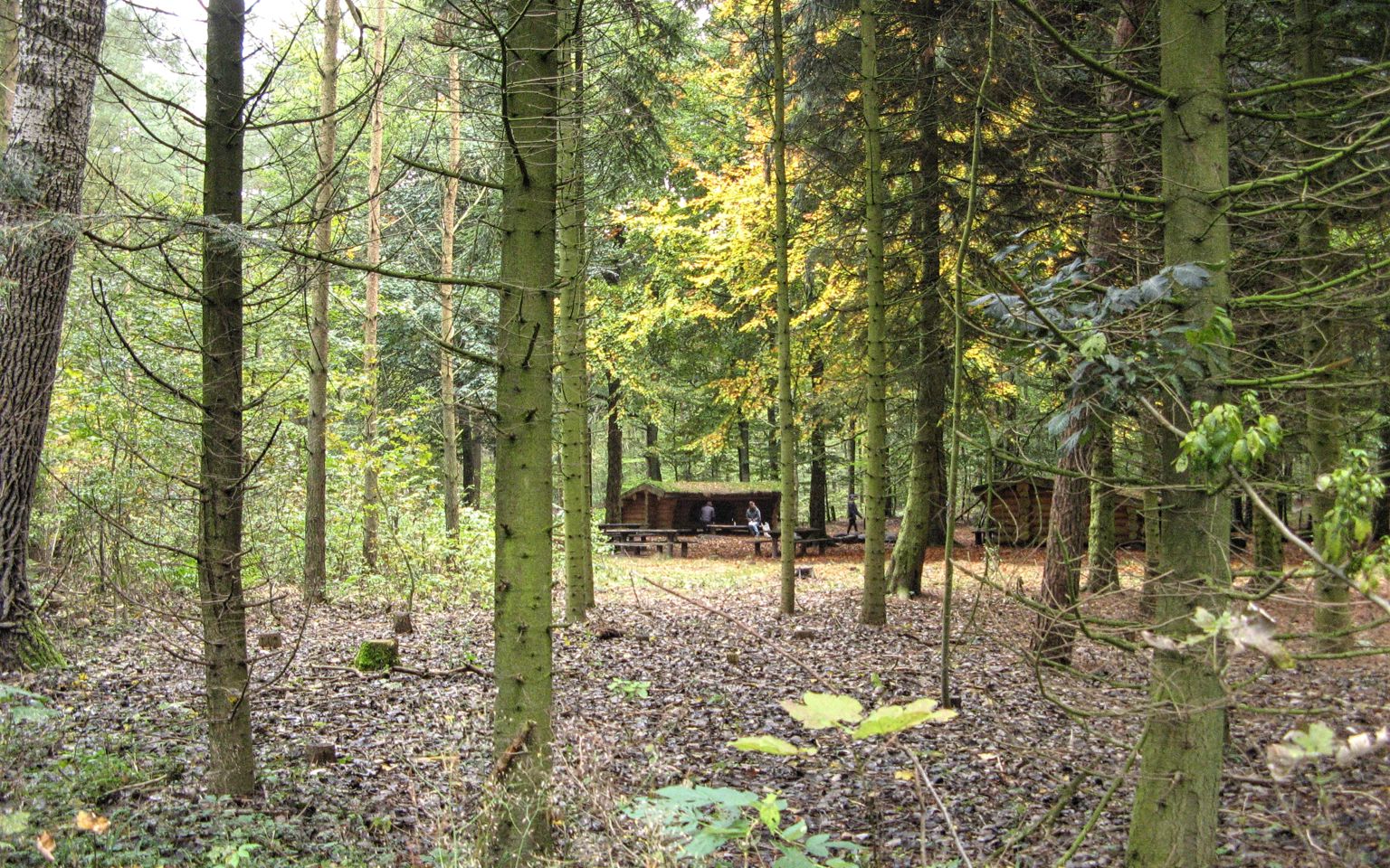 Shelters i Fladbro Skov