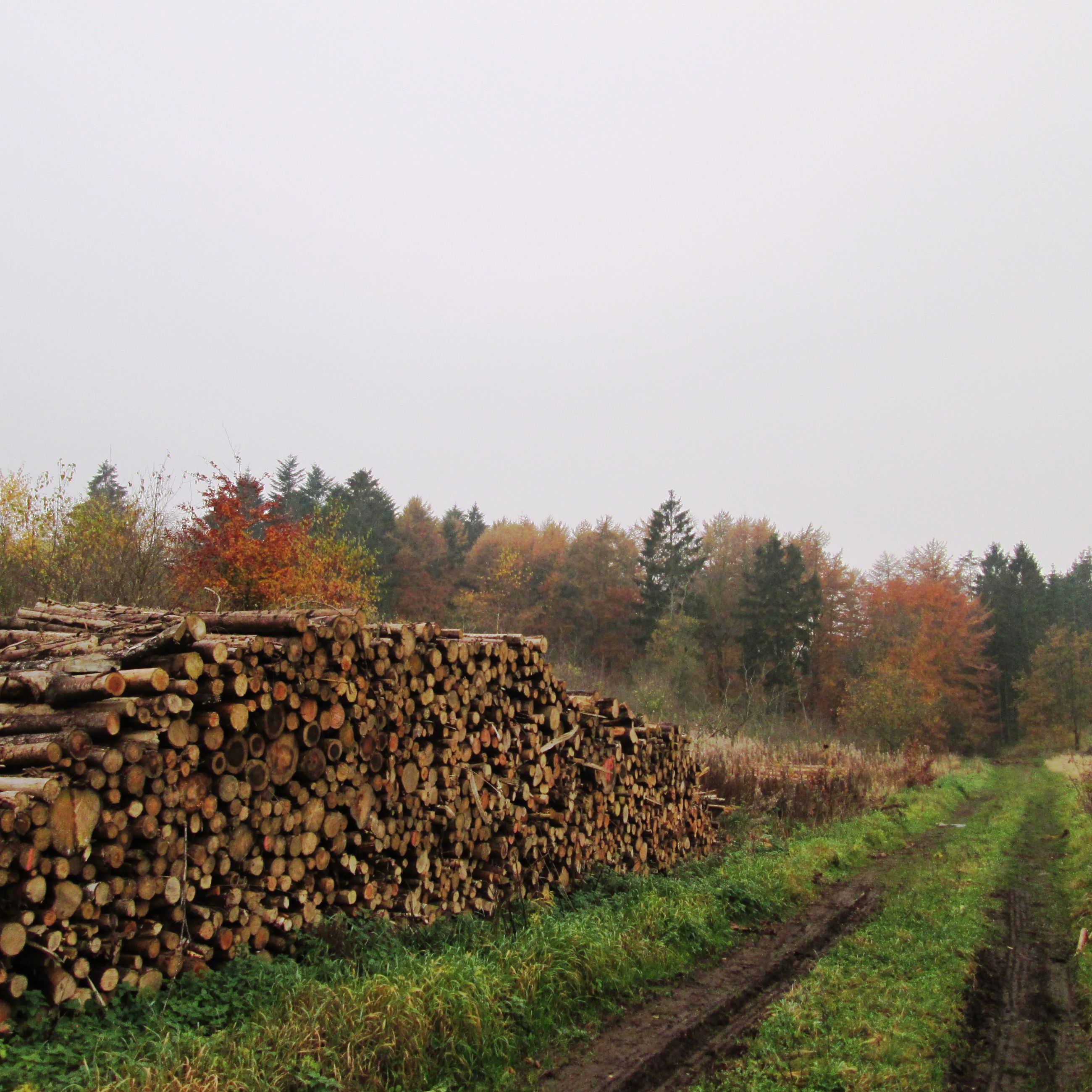 Sti ved brændestabel