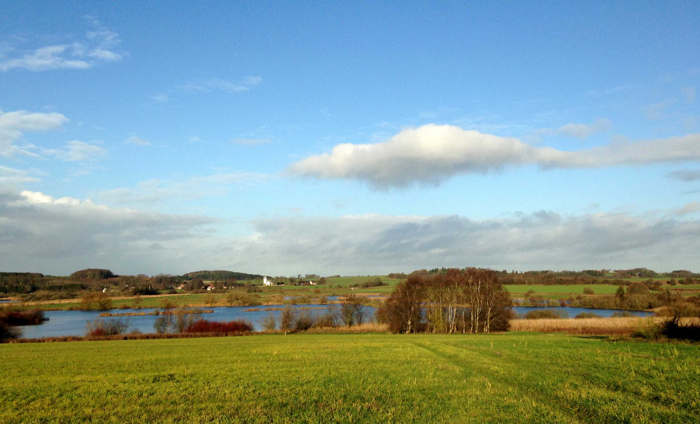 Marker og sø med Kousted Kirke i baggrunden
